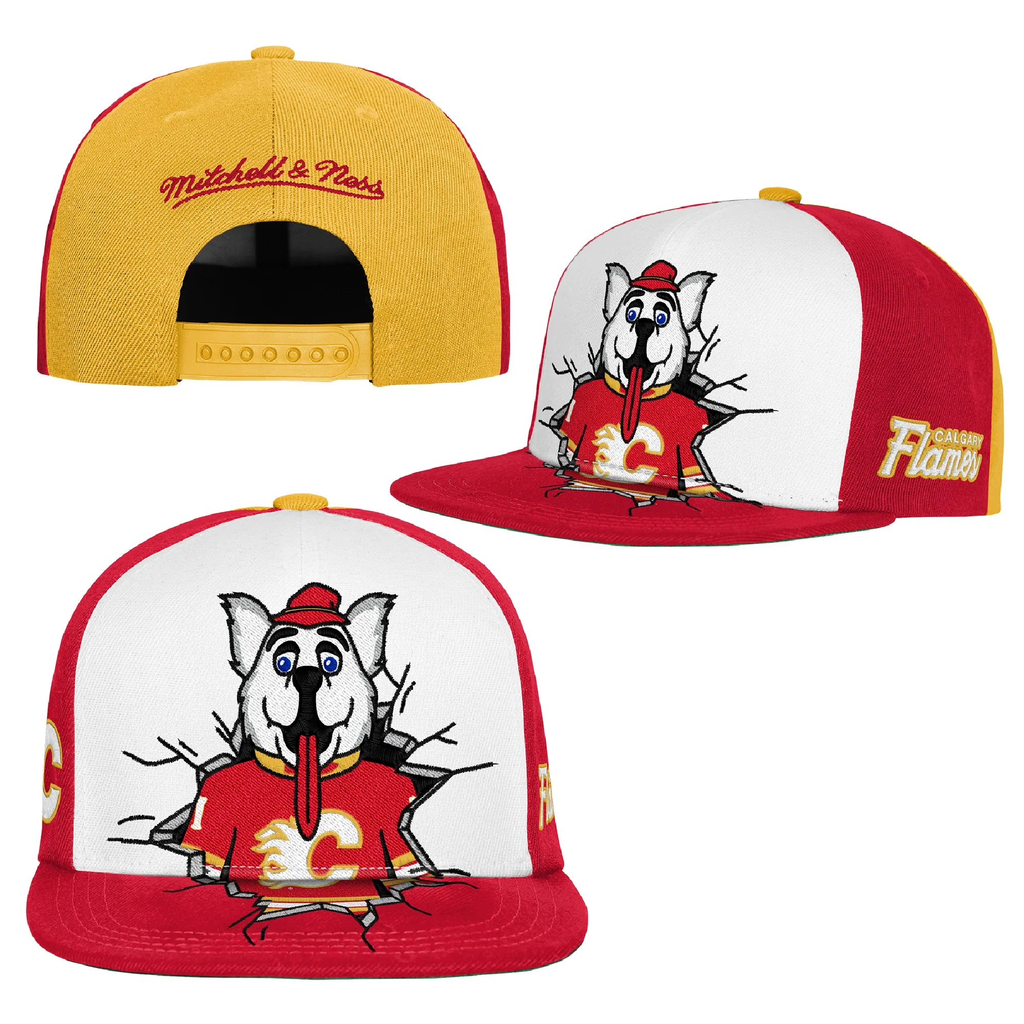 Flames Youth M&N Mascot Snapback Cap - Image 4